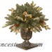 National Tree Co. Copenhagen Spruce Porch Bush Pine Centerpiece with Decorative Vase NTC2884